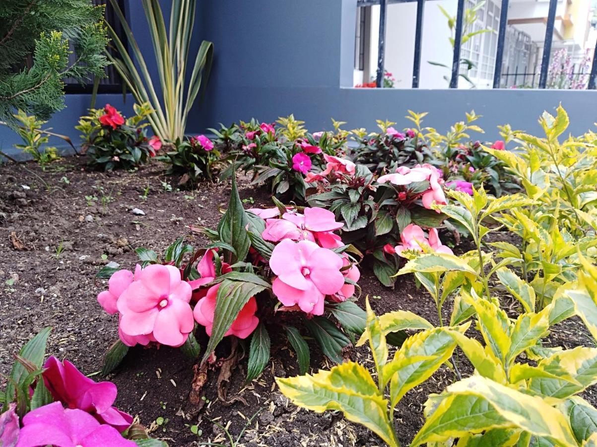 Hotel Jardin 38 Pasto Camera foto